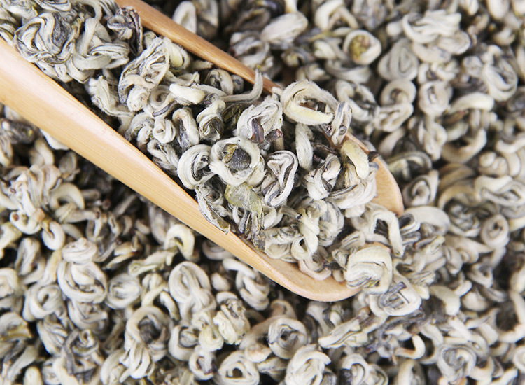 2025�������ҵ ���ϵ��̲� �紺������ ���ݴ� 1000��