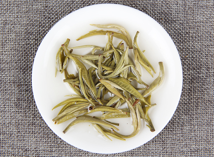 2025�������ҵ ���ϵ��̲� �紺������ ���ݴ� 1000��