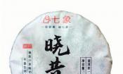 2024�� �����ҵ �����鴿��454 �ն��� ���� 100��