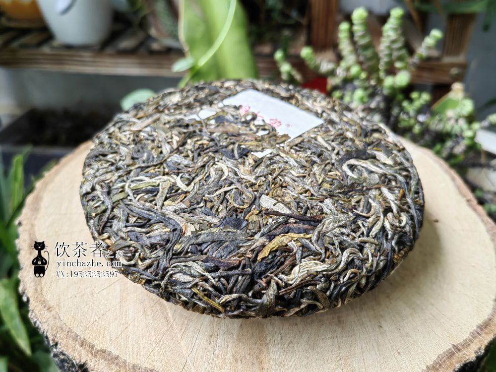 2025年七象茶业 无量山兰韵古茶365 生茶 200克
