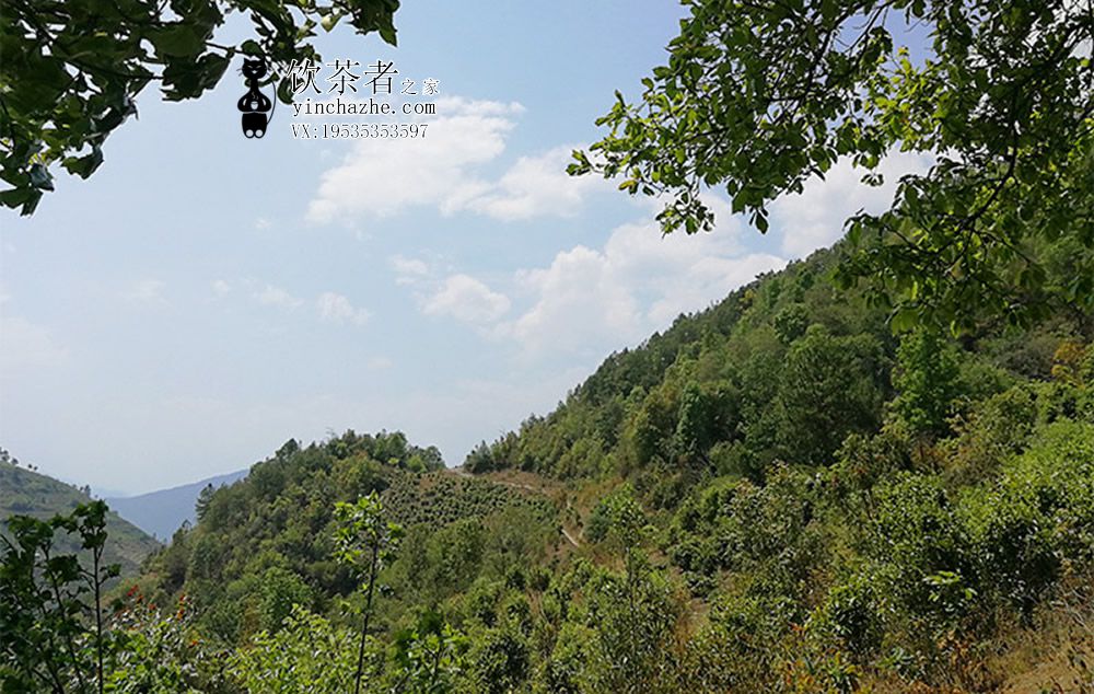 ��������ɽ�ն�����ô��?��������ɽ�ն�����������?