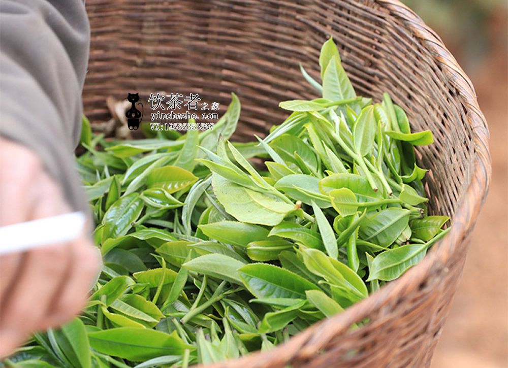 ��������ɽ�ն�����ô��?��������ɽ�ն�����������?