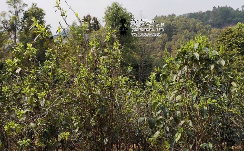 ����ɽ������к��ص㣿����ɽ�������ĸ�������