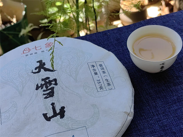 �¿��ѩɽ�����ɲ����ס�ĵط�