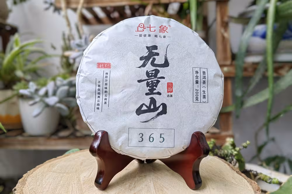 2025�������ҵ ����ɽ���ϹŲ�365 ���� 200�ˣ�49��