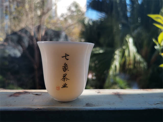 2023年早春茶什么时候上市