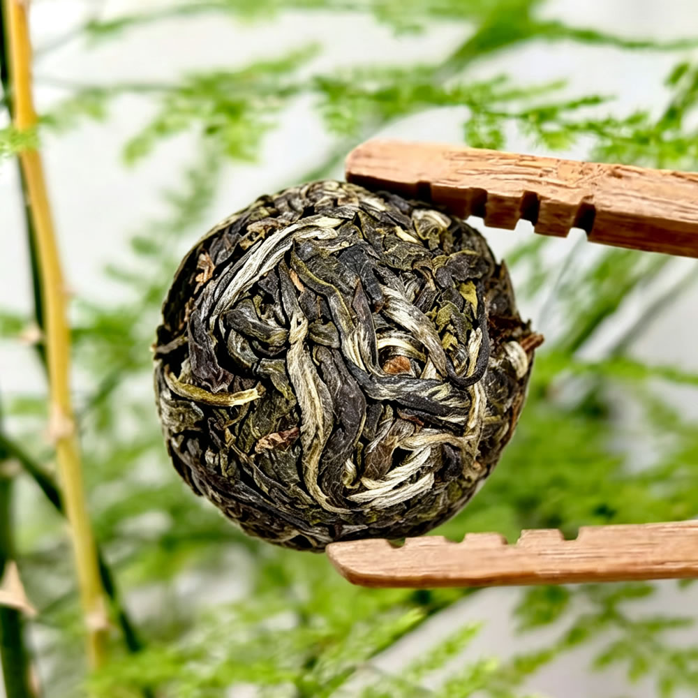 2026年七象茶业 云南普洱茶 小冰岛普洱茶 生茶 7克
