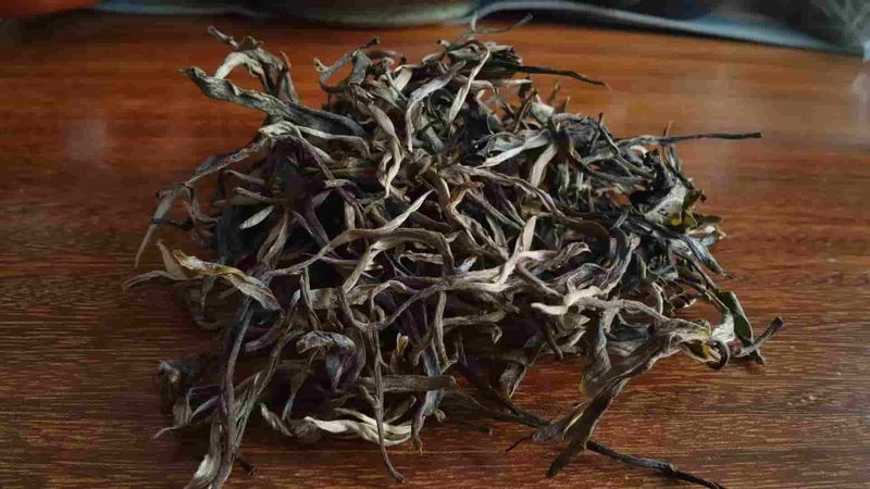 昔宜村茶山实拍