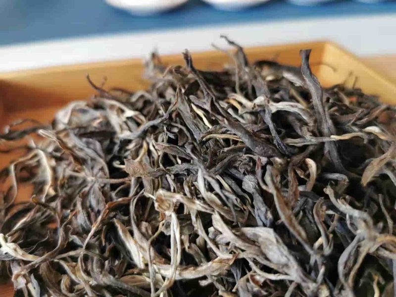 多依寨茶山实拍