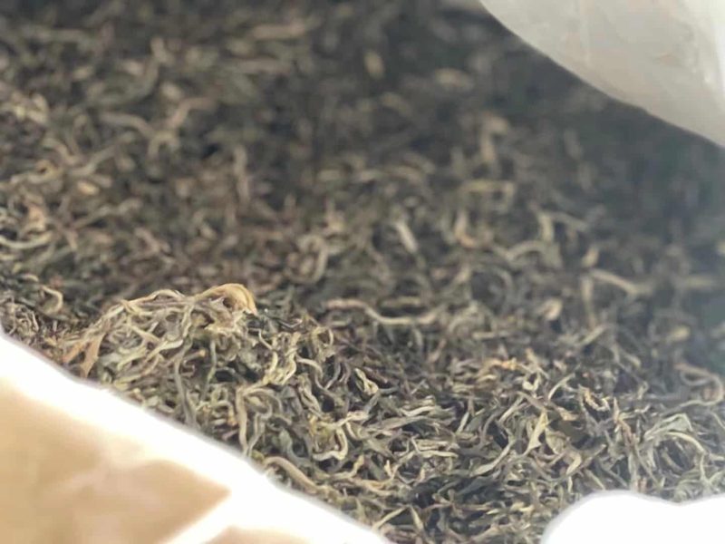 百花潭茶山实拍