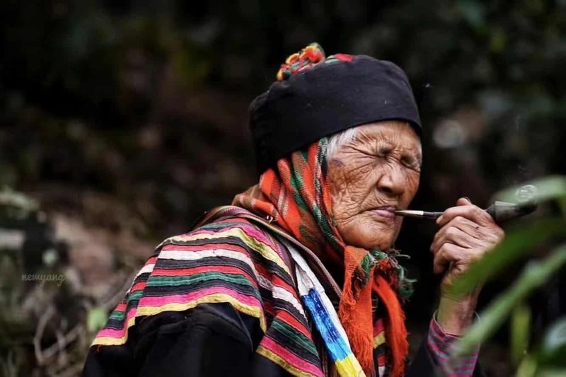 保山松山茶山实拍
