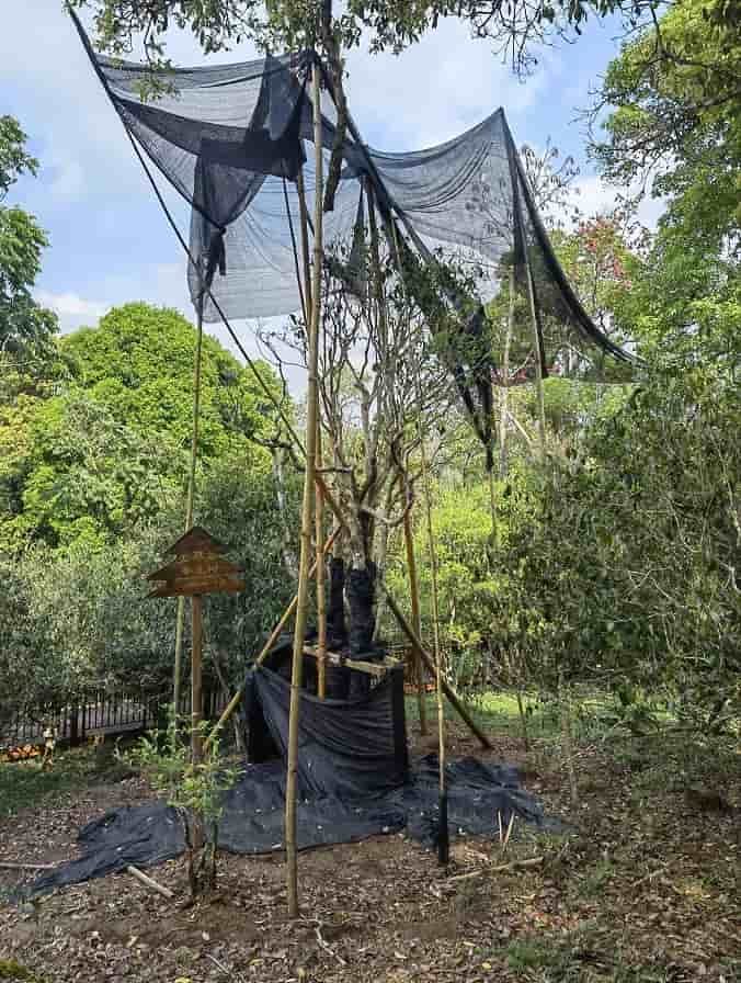 楗尪鑰呮櫘娲辫尪琛屾儏