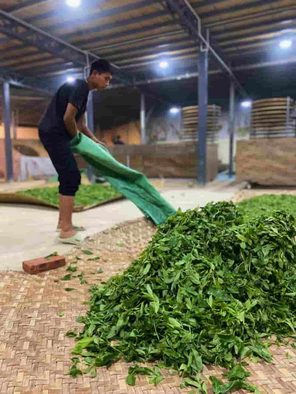 楗尪鑰呮櫘娲辫尪琛屾儏