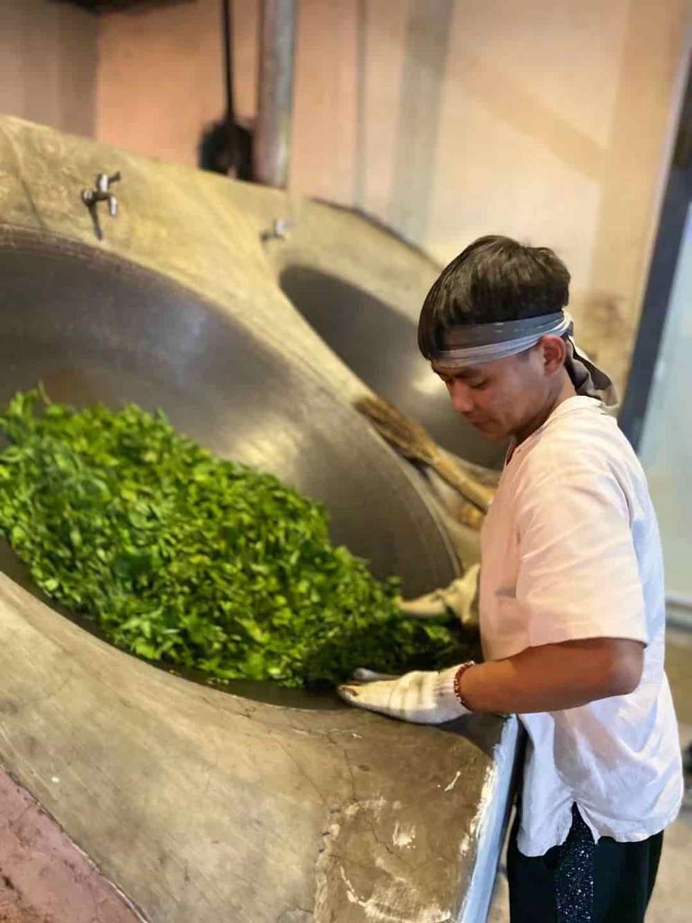 楗尪鑰呮櫘娲辫尪琛屾儏