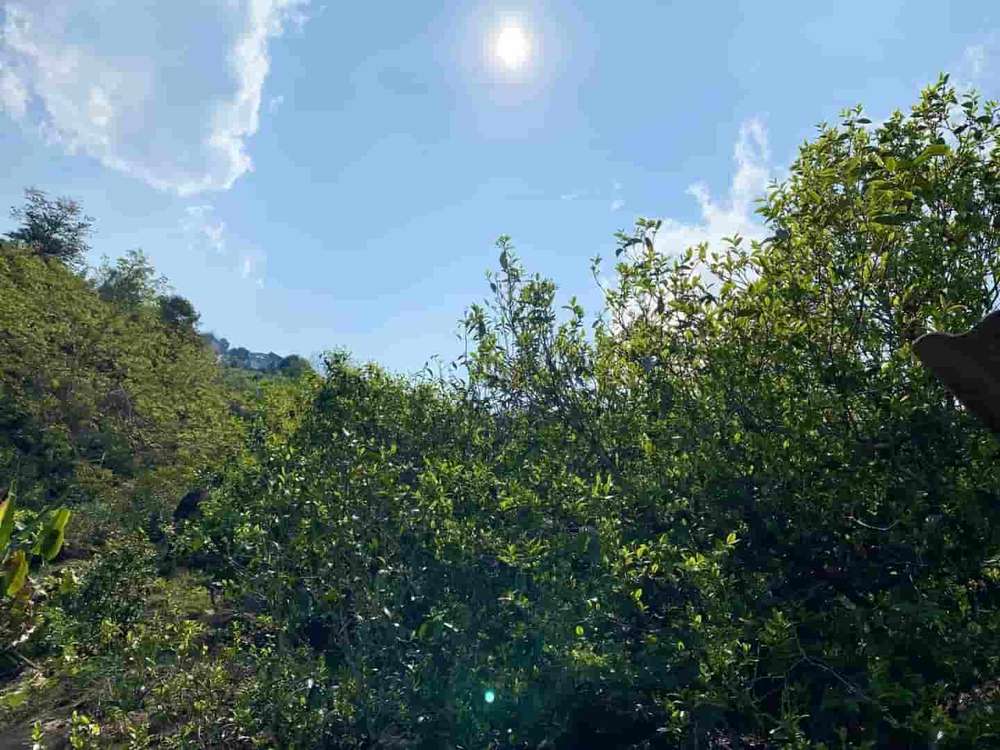 楗尪鑰呮櫘娲辫尪琛屾儏