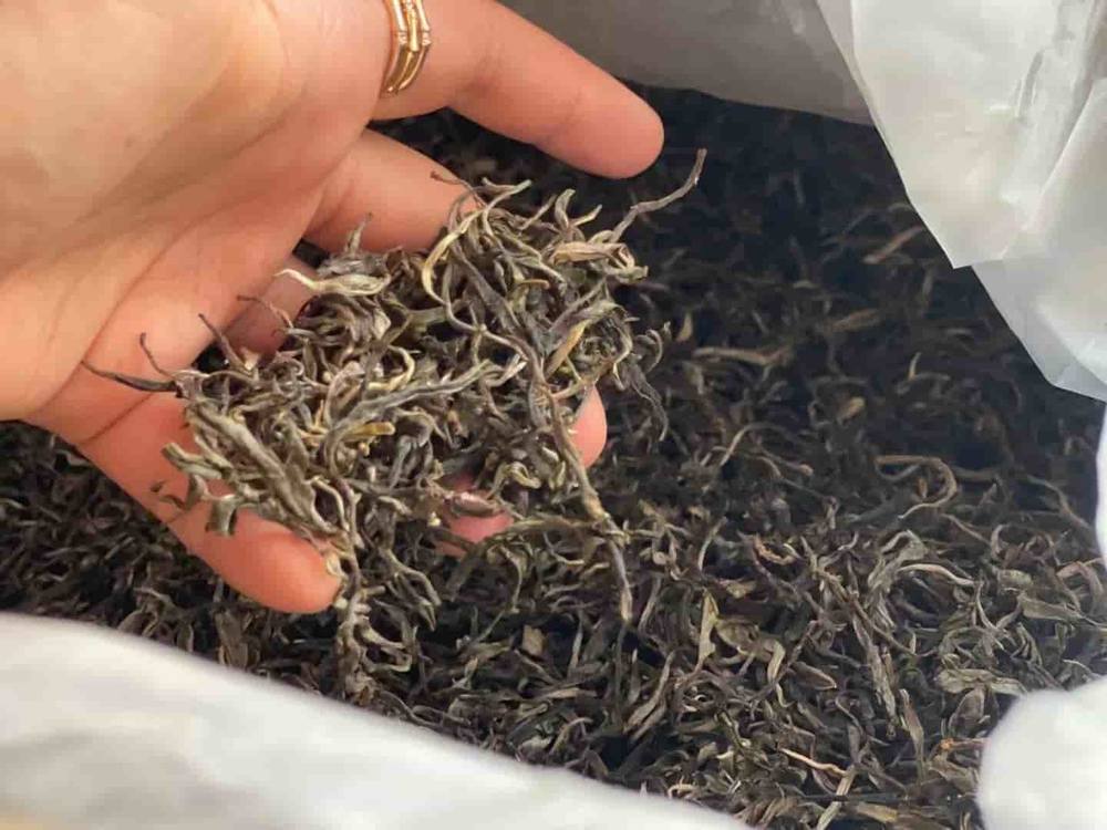 楗尪鑰呮櫘娲辫尪琛屾儏