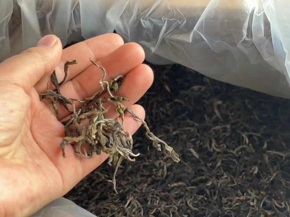 楗尪鑰呮櫘娲辫尪琛屾儏