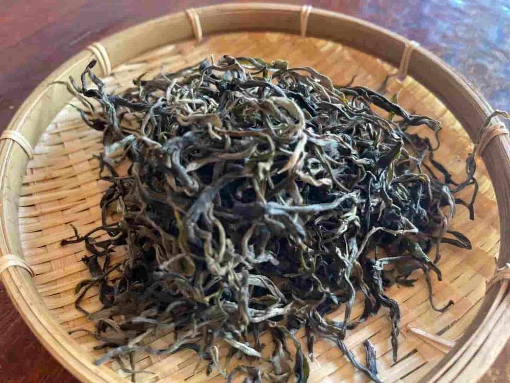 楗尪鑰呮櫘娲辫尪琛屾儏