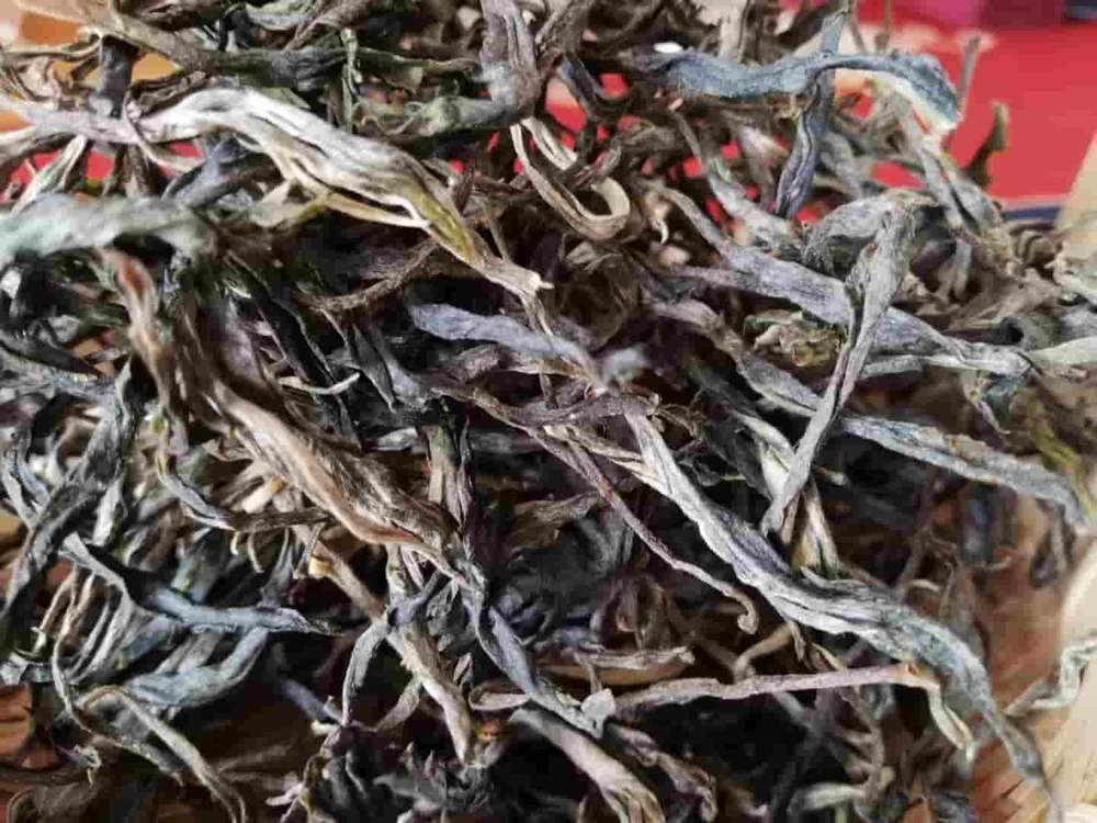 楗尪鑰呮櫘娲辫尪琛屾儏