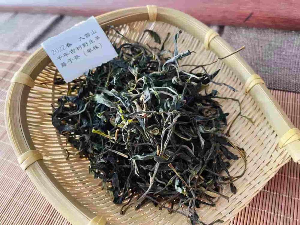 楗尪鑰呮櫘娲辫尪琛屾儏