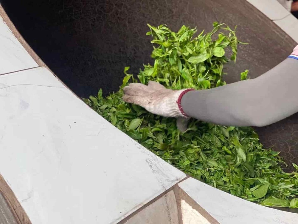 饮茶者普洱茶行情