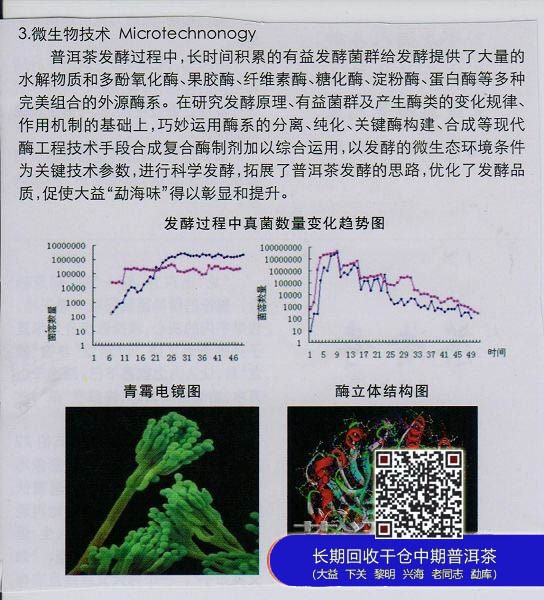 大益茶第三代发酵技术“黑马”曝光