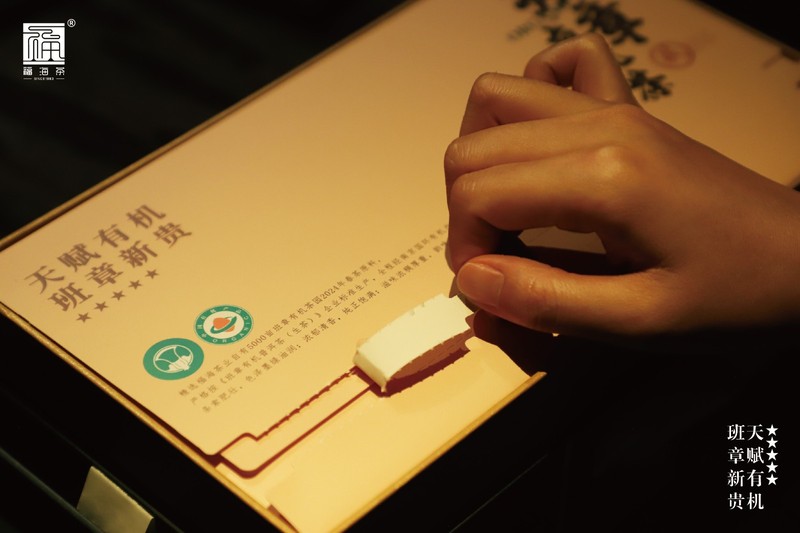 2024年 福海 福海班章有机茶(散茶)500G 定制礼盒 晒青