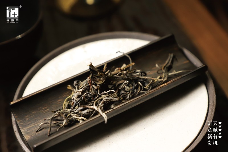 2024年 福海 福海班章有机茶(散茶)500G 定制礼盒 晒青