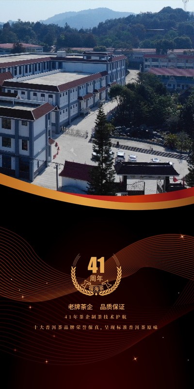 2021年 福海 7536 福海茶厂传统拼配技艺 357克
