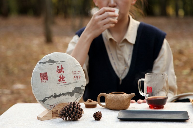 福海 融然 福海茶厂36年传统自然固态发酵与拼配技艺 357克