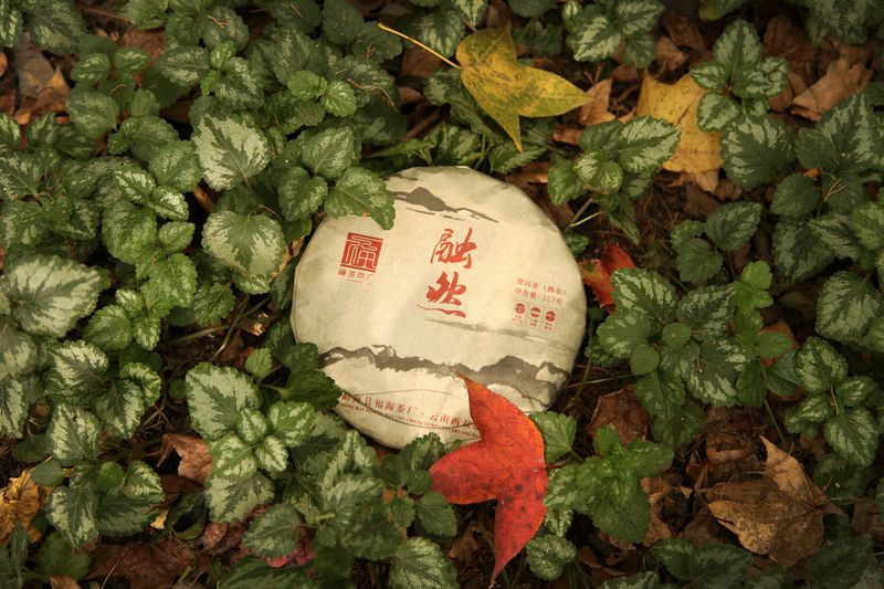 福海 融然 福海茶厂36年传统自然固态发酵与拼配技艺 357克