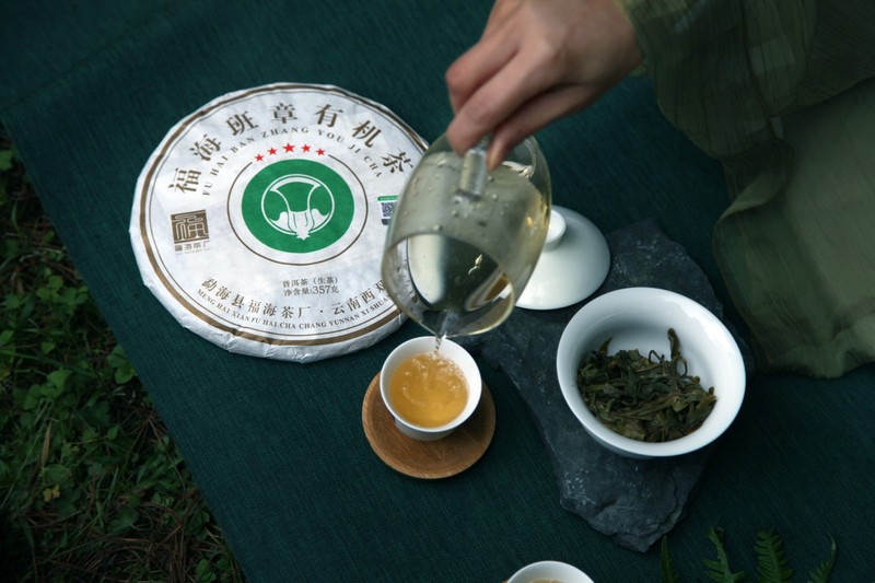 2022年 福海 班章有机茶357克·收藏装 晒青 357克