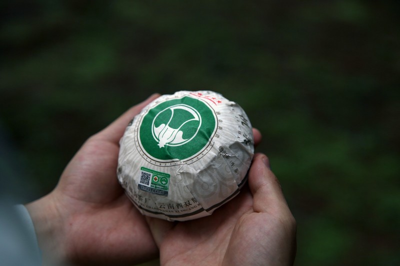 2022年 福海 班章有机茶250克沱茶·收藏装 晒青 250克