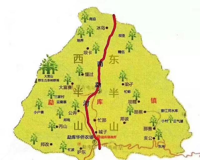 冰岛茶因何而贵?这些原因都全了!3