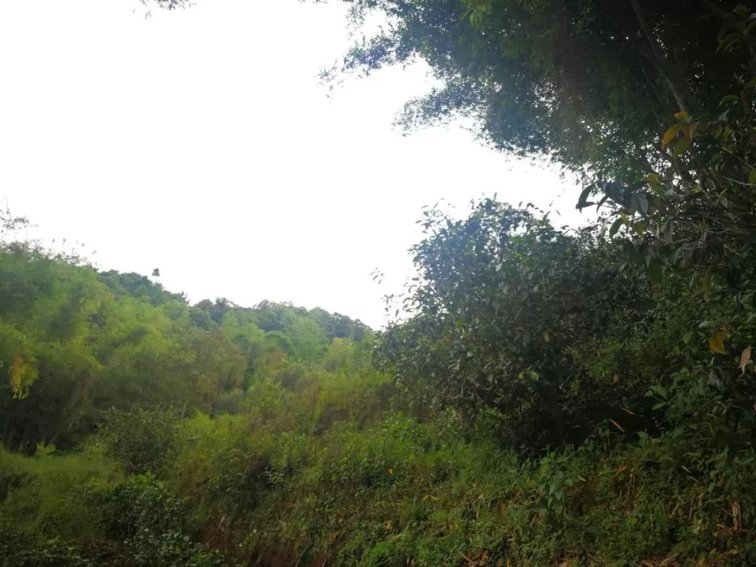 0JT94J1-1
