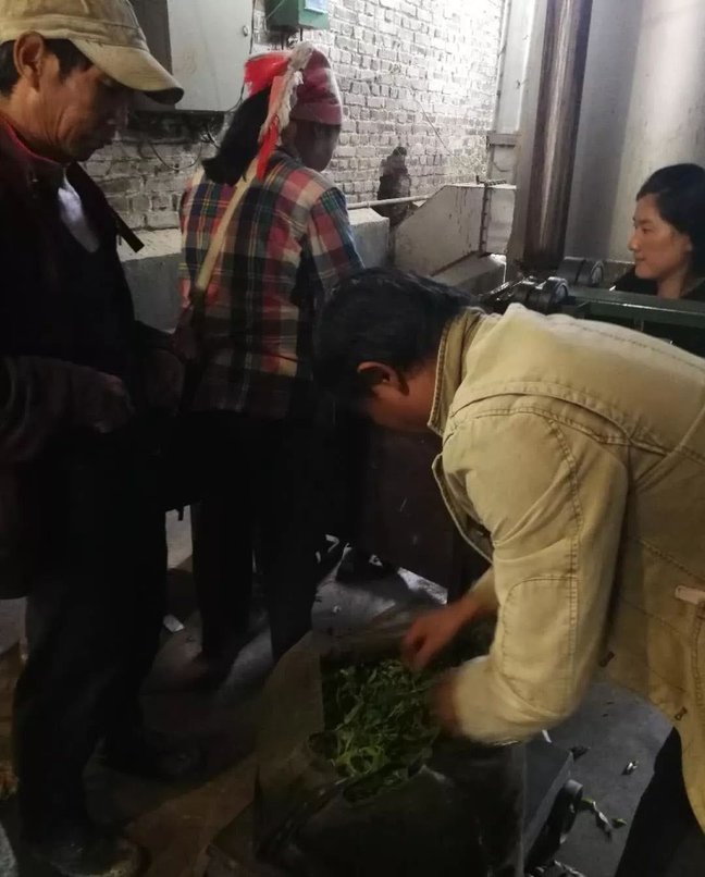 22263961G-3