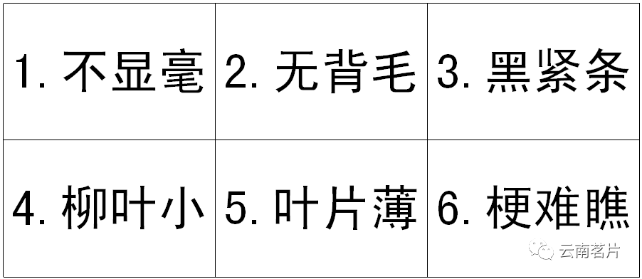 1P3101943-6
