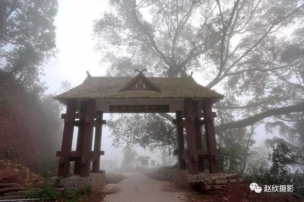 231RU614-1
