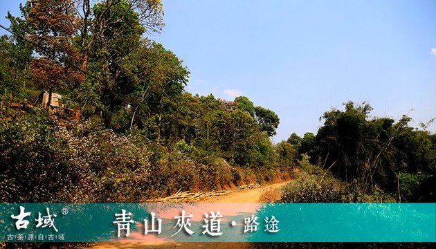 13050Q610-0