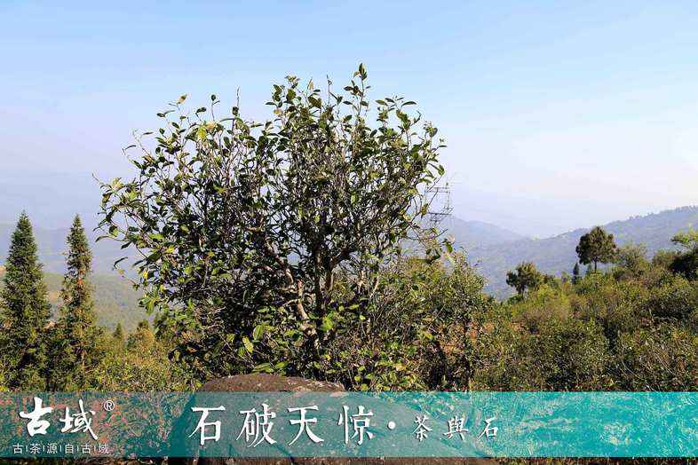 095JH008-8