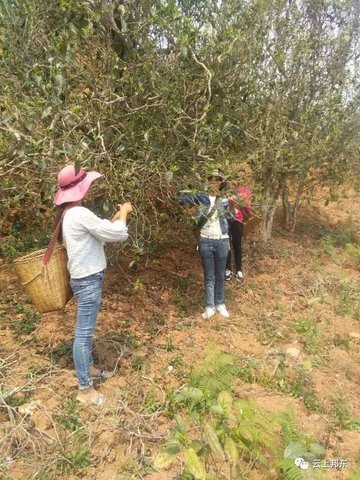 123925F63-3