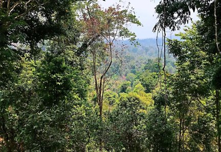 1K4315F7-0