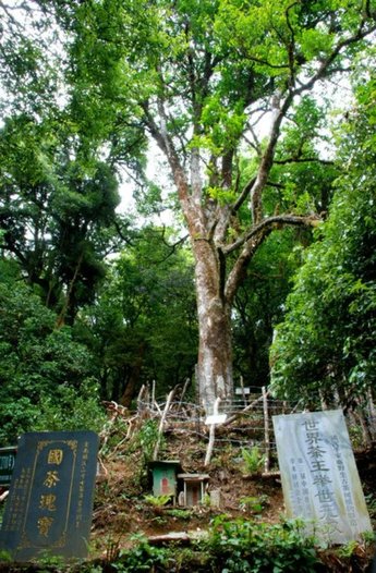 2234342150-1
