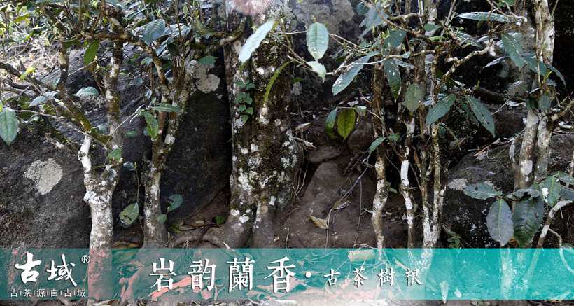 10392R018-5