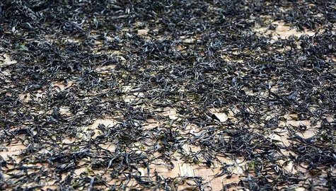 0644222T1-2