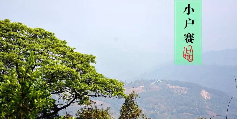 0R2393552-1