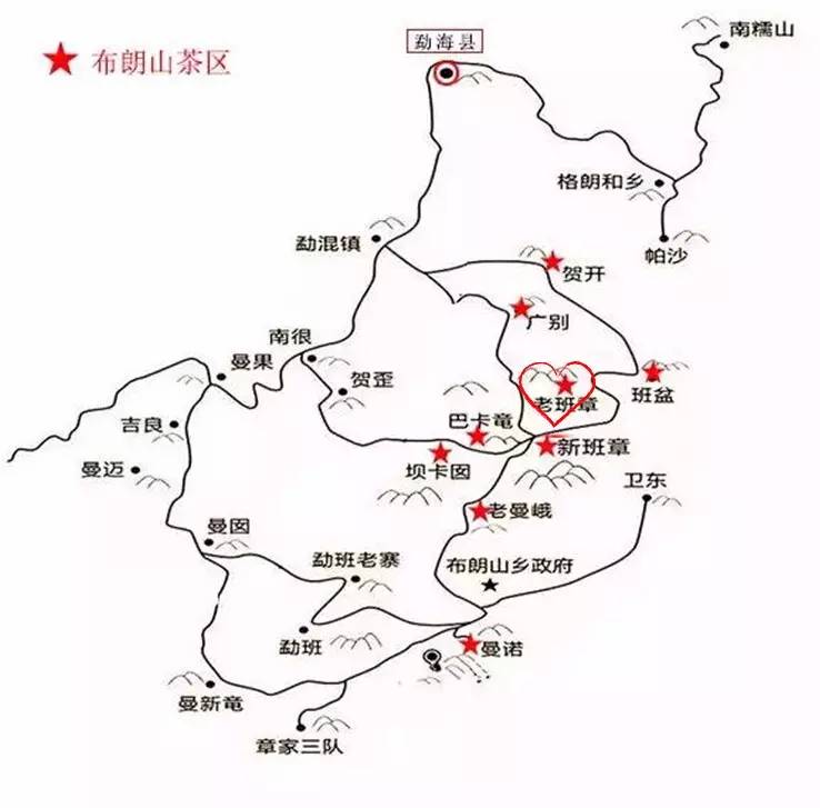 22445235Y-0