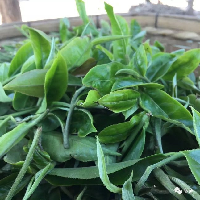 10350SE3-8