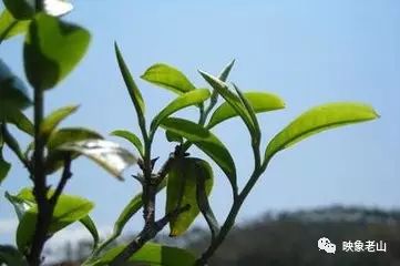1535093944-1