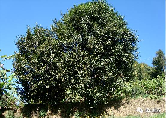 114UIJ9-2
